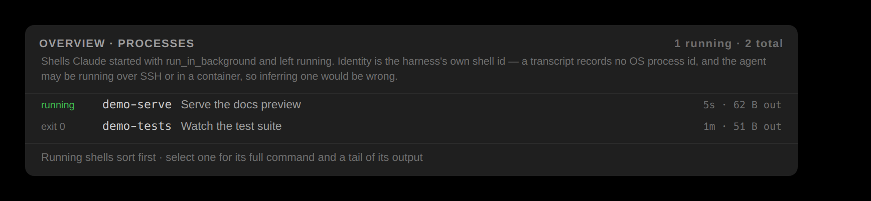 The Processes tab: one row per background shell with its state, the harness's shell id, the shell's description, its runtime and how much output it produced; running shells sort first